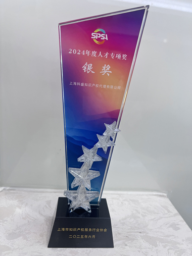 人才专项奖银奖500.jpg